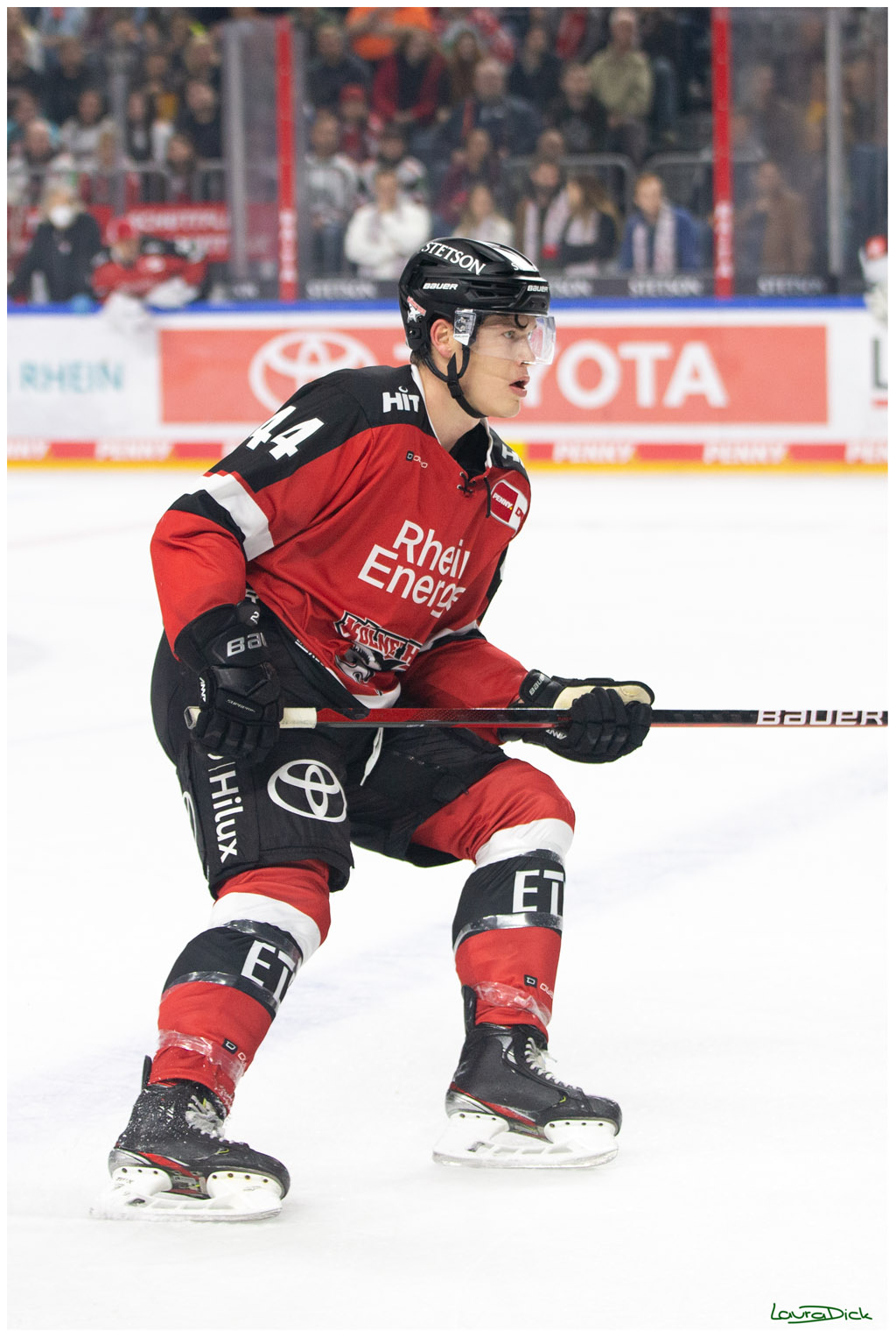 PENNY DEL;  Koelner Haie - Krefeld Pinguins; Koeln, 31.10.2021